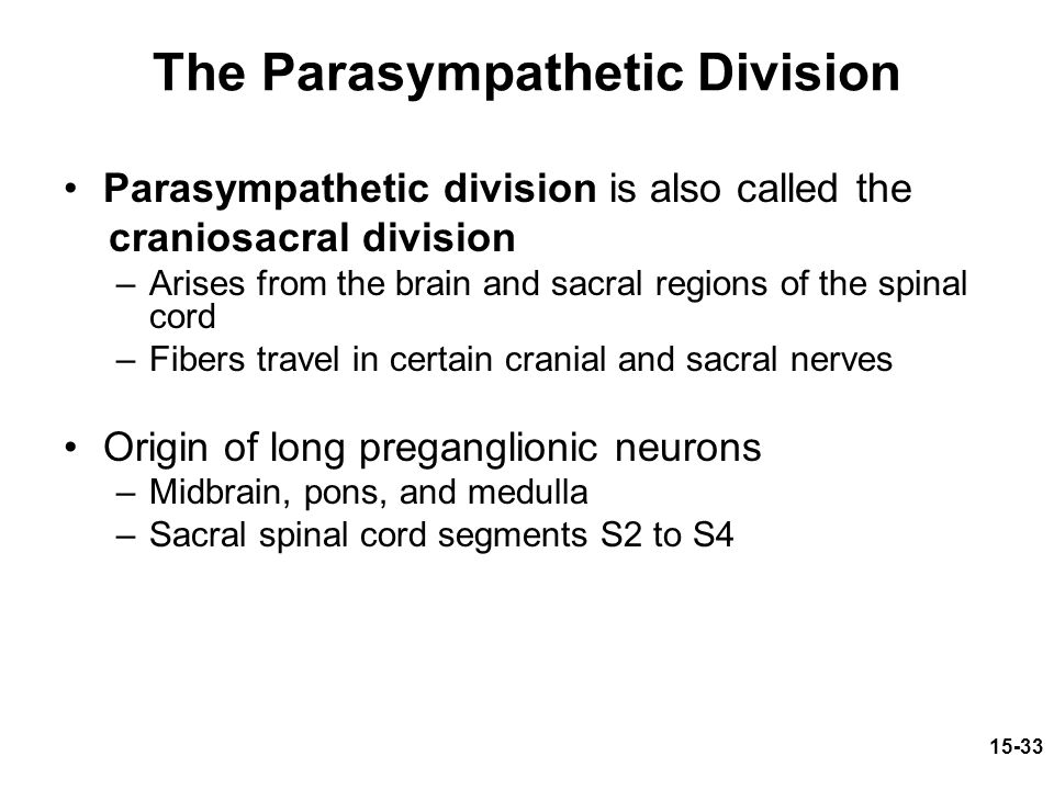 The Parasympathetic Division
