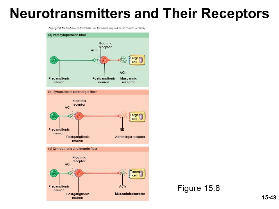 Neurotransmitters and Their Receptors