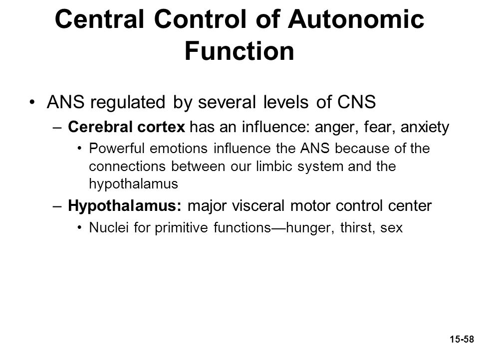Central Control of Autonomic Function