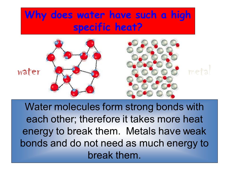 Why does water have such a high specific heat