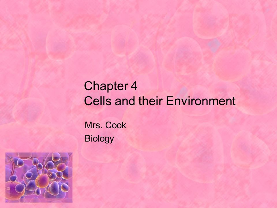 Chapter 4 Cells and their Environment