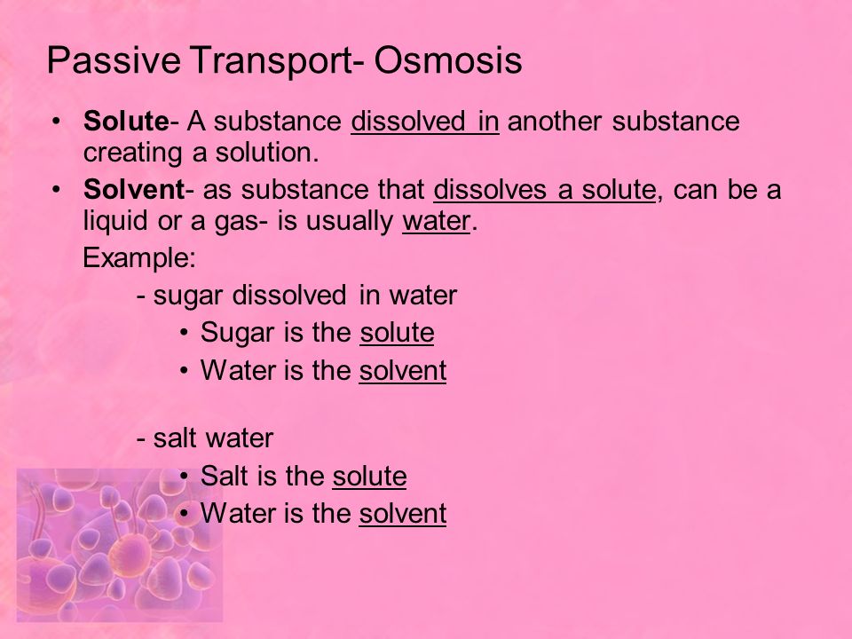 Passive Transport- Osmosis