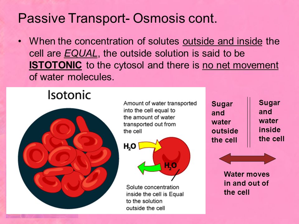 Passive Transport- Osmosis cont.