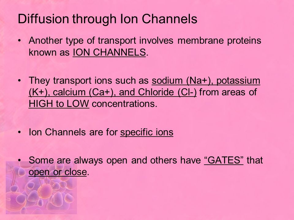 Diffusion through Ion Channels