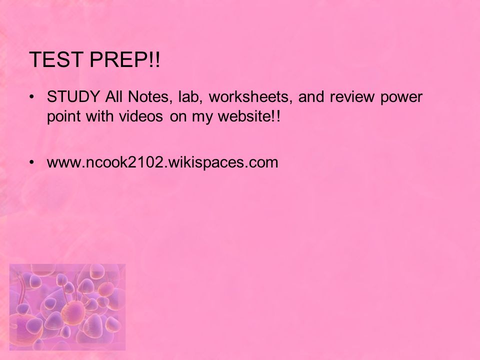 TEST PREP!. STUDY All Notes, lab, worksheets, and review power point with videos on my website!.