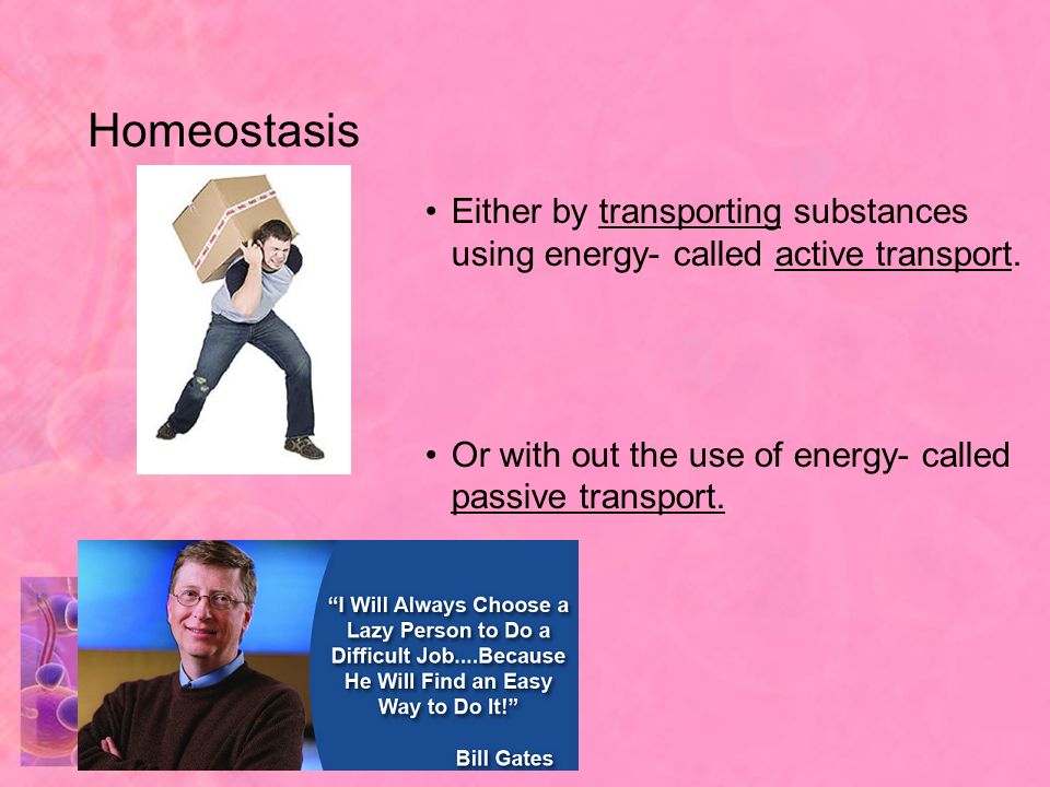 Homeostasis Either by transporting substances using energy- called active transport.