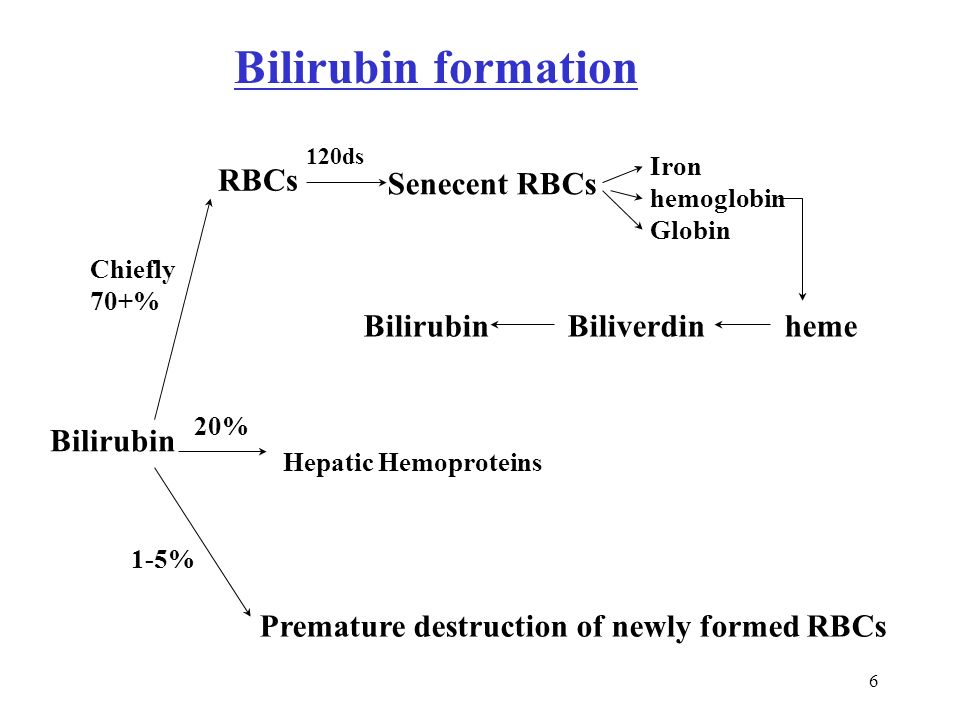 Bilirubin formation RBCs Senecent RBCs Bilirubin Biliverdin heme