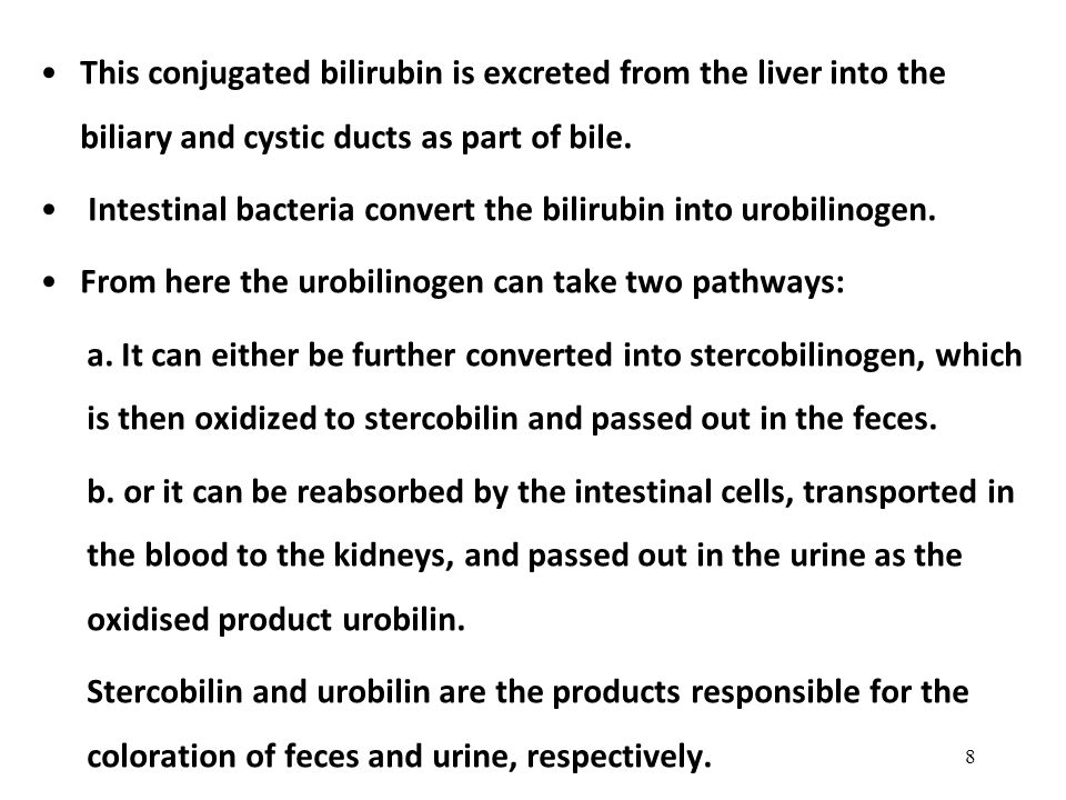 This conjugated bilirubin is excreted from the liver into the biliary and cystic ducts as part of bile.