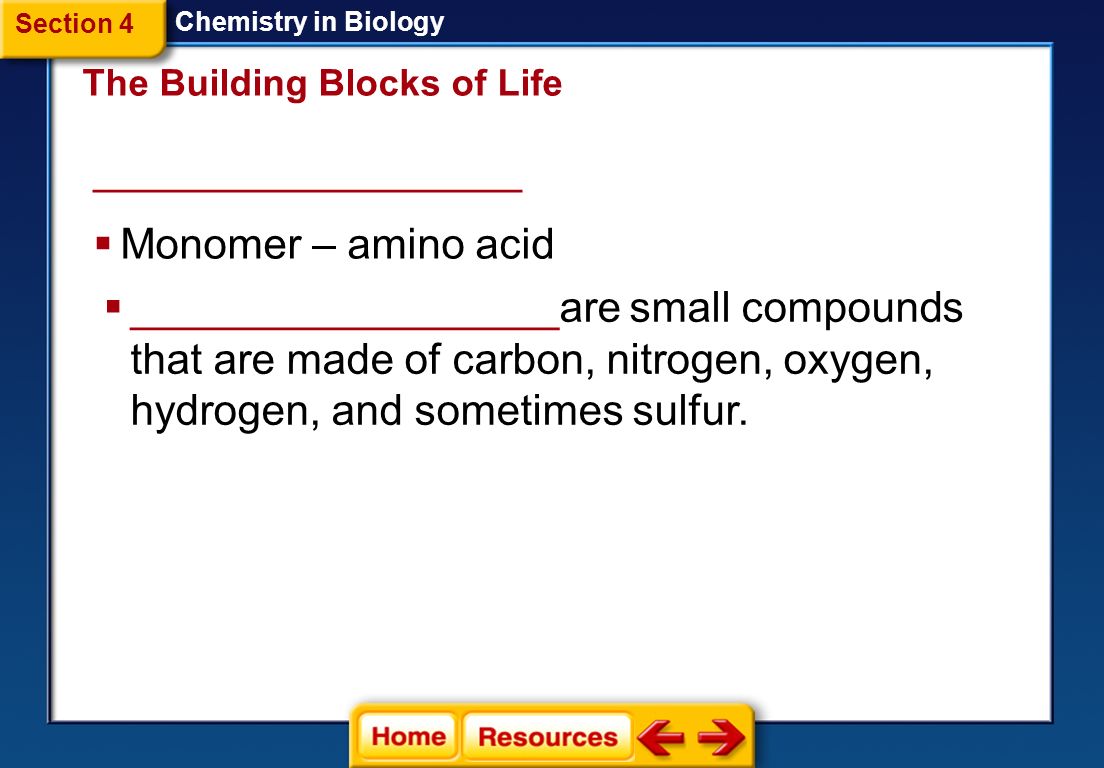 __________________ Monomer – amino acid