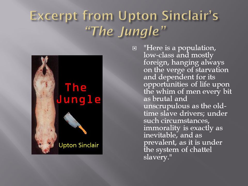Excerpt from Upton Sinclair’s The Jungle