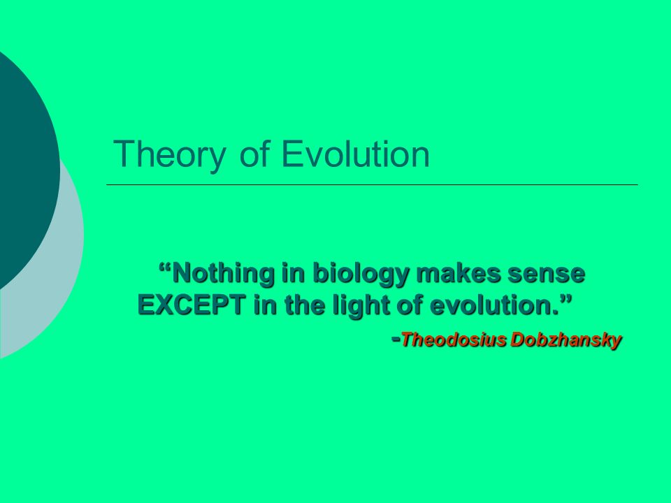 Theory of Evolution “Nothing in biology makes sense EXCEPT in the light of evolution.” Theodosius Dobzhansky. - ppt video online download