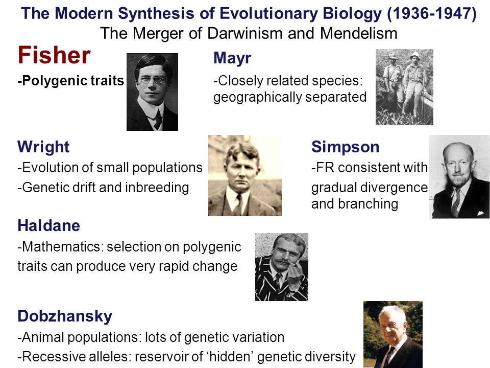 Early concepts of natural selection - ppt video online download