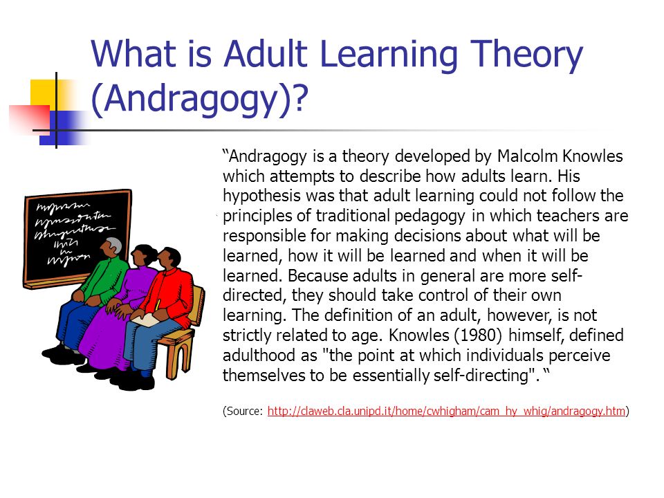 Adult learning theory and principles — pic 3
