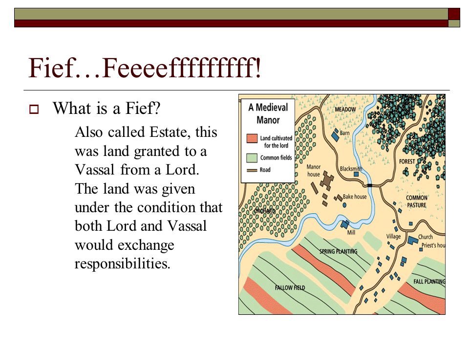 Fief…Feeeefffffffff! What is a Fief