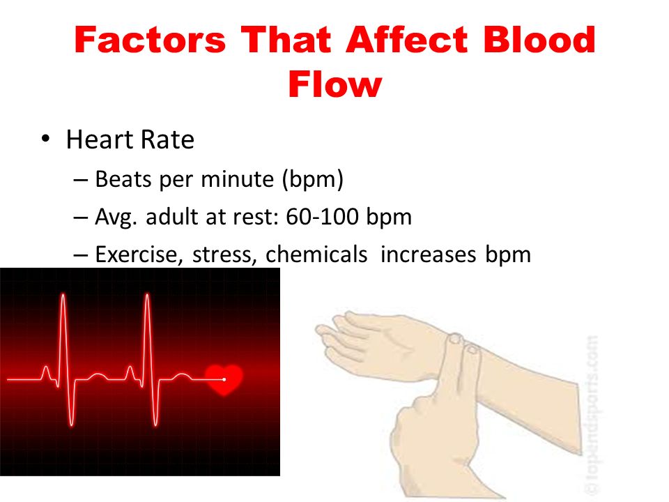 Factors That Affect Blood Flow