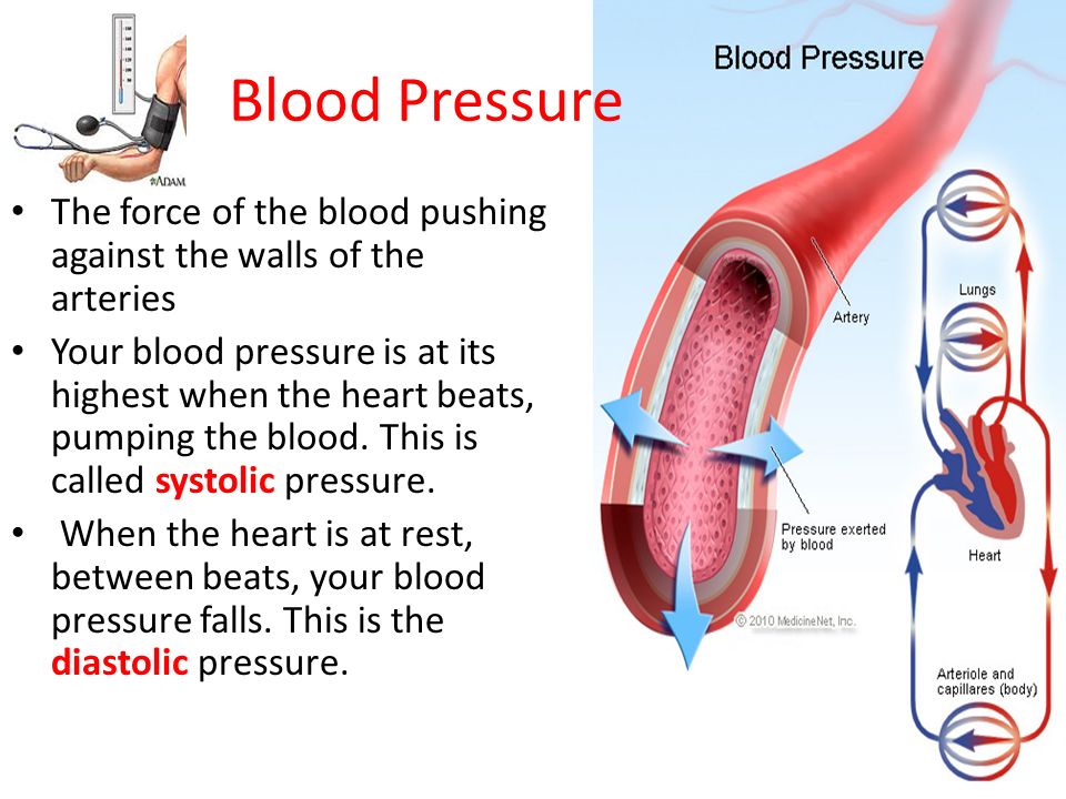 Blood Pressure The force of the blood pushing against the walls of the arteries.