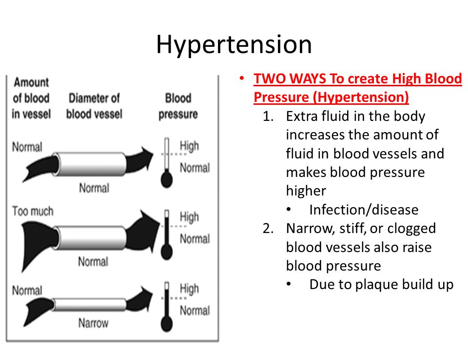 Hypertension TWO WAYS To create High Blood Pressure (Hypertension)
