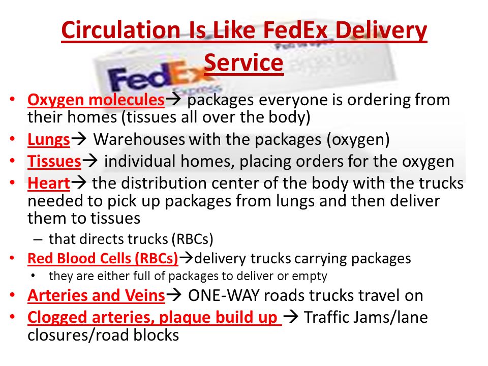 Circulation Is Like FedEx Delivery Service