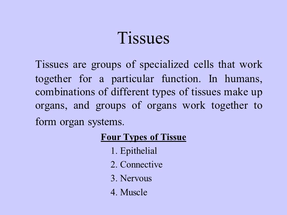 Animal Tissues. - ppt download Animal Tissues. - ppt download