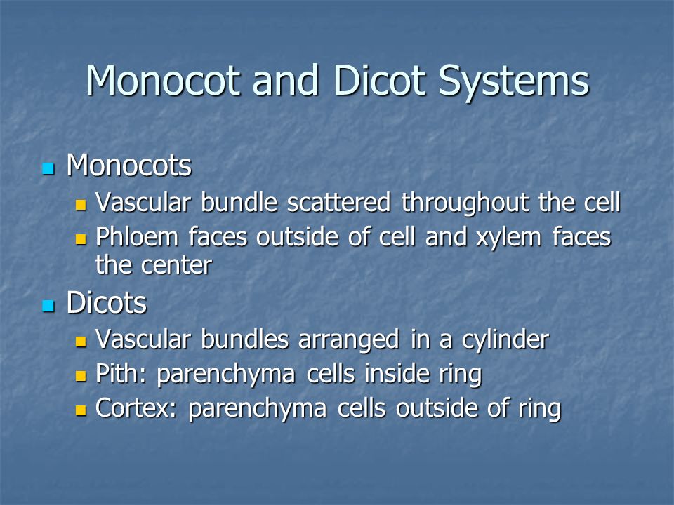Monocot and Dicot Systems