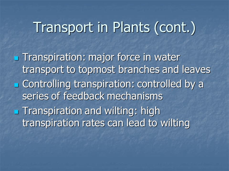 Transport in Plants (cont.)
