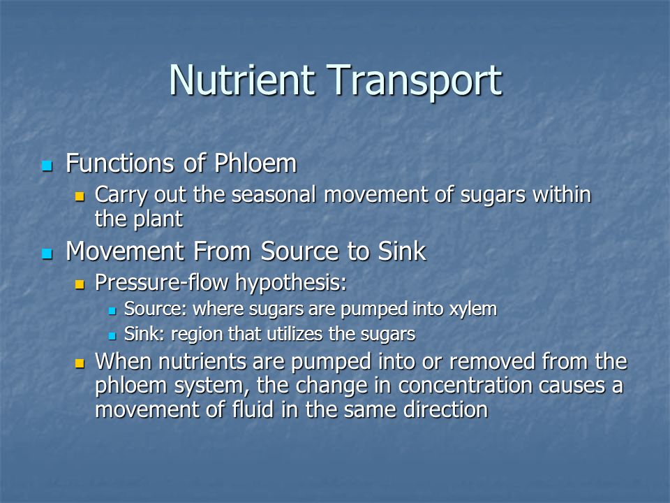 Nutrient Transport Functions of Phloem Movement From Source to Sink