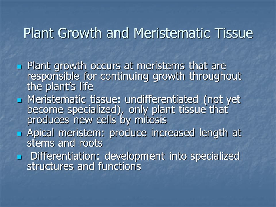 Plant Growth and Meristematic Tissue
