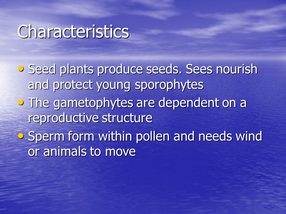 Characteristics Seed plants produce seeds. Sees nourish and protect young sporophytes. The gametophytes are dependent on a reproductive structure.