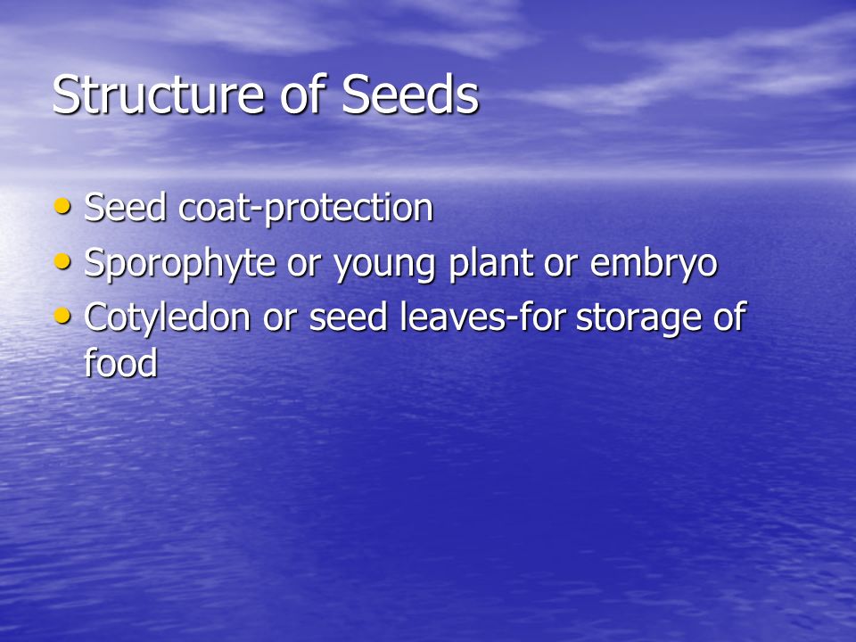 Structure of Seeds Seed coat-protection