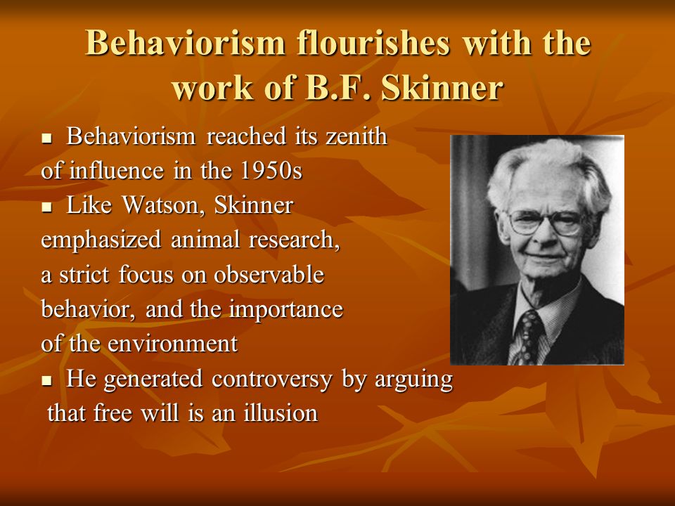 Behaviorism flourishes with the work of B.F. Skinner