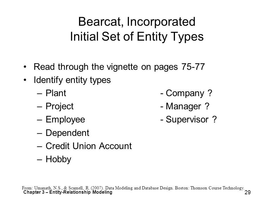 Bearcat, Incorporated Initial Set of Entity Types