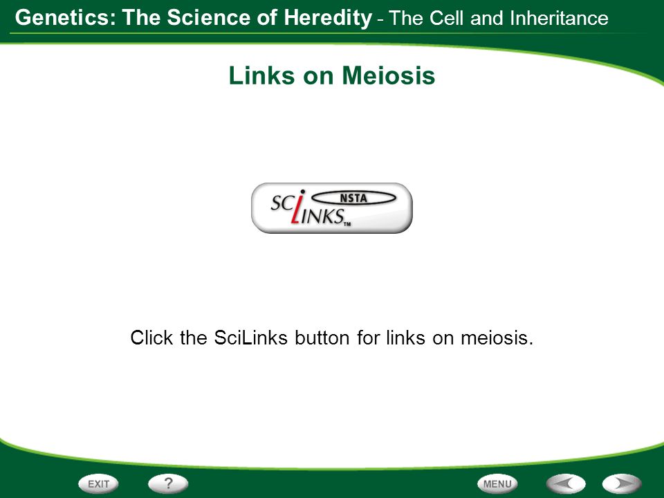 Click the SciLinks button for links on meiosis.