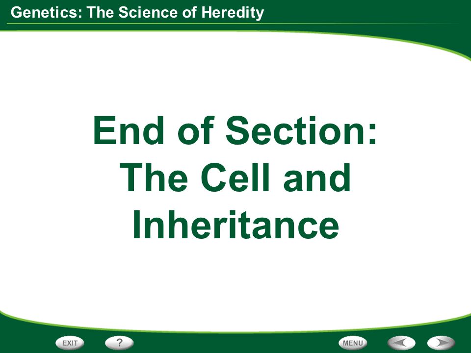 End of Section: The Cell and Inheritance