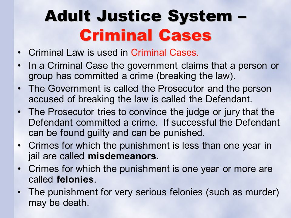 Adult Justice System – Criminal Cases