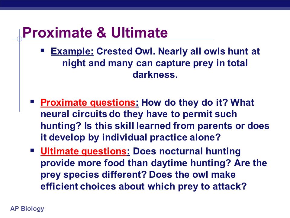 Proximate & Ultimate Example: Crested Owl. Nearly all owls hunt at night and many can capture prey in total darkness.