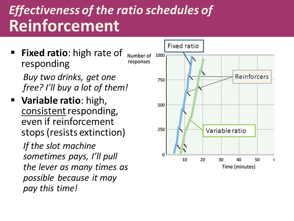 fixed ratio schedule definition psychology