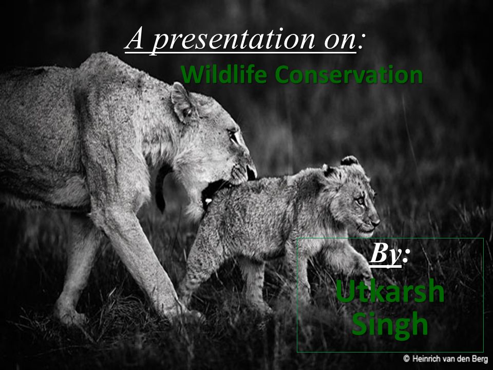 A presentation on: Wildlife Conservation