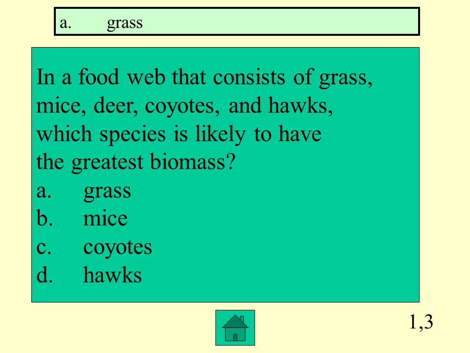 In a food web that consists of grass, mice, deer, coyotes, and hawks,