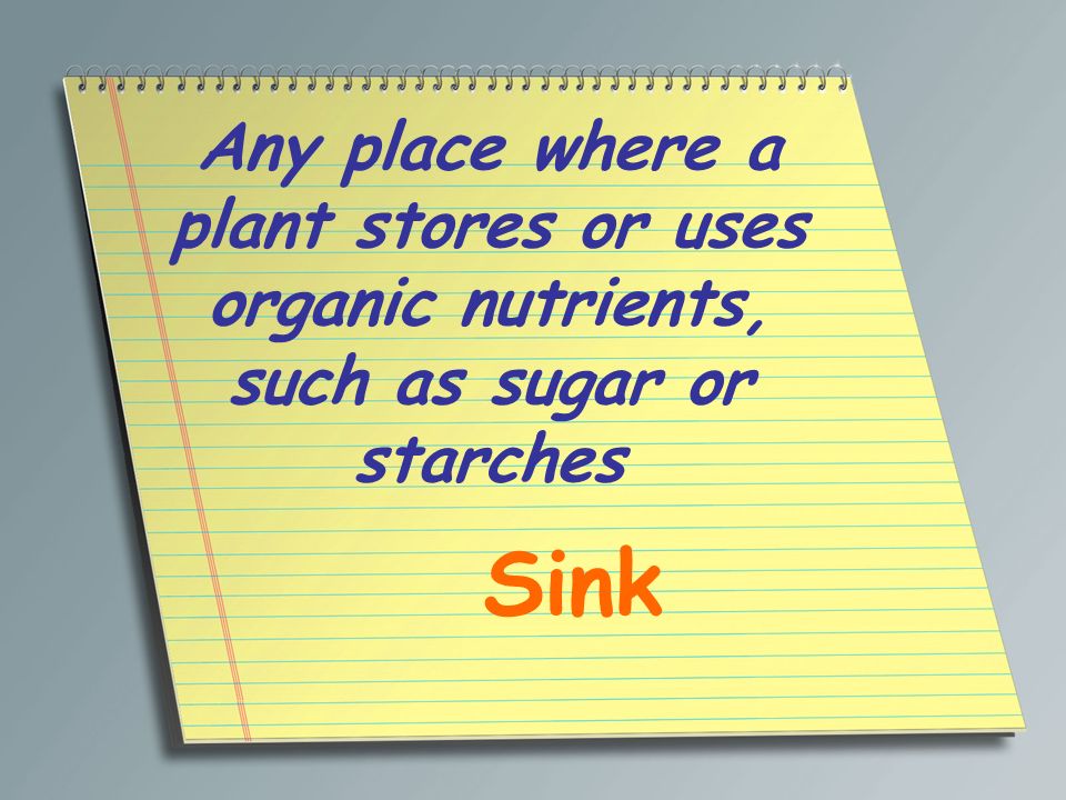 Any place where a plant stores or uses organic nutrients, such as sugar or starches