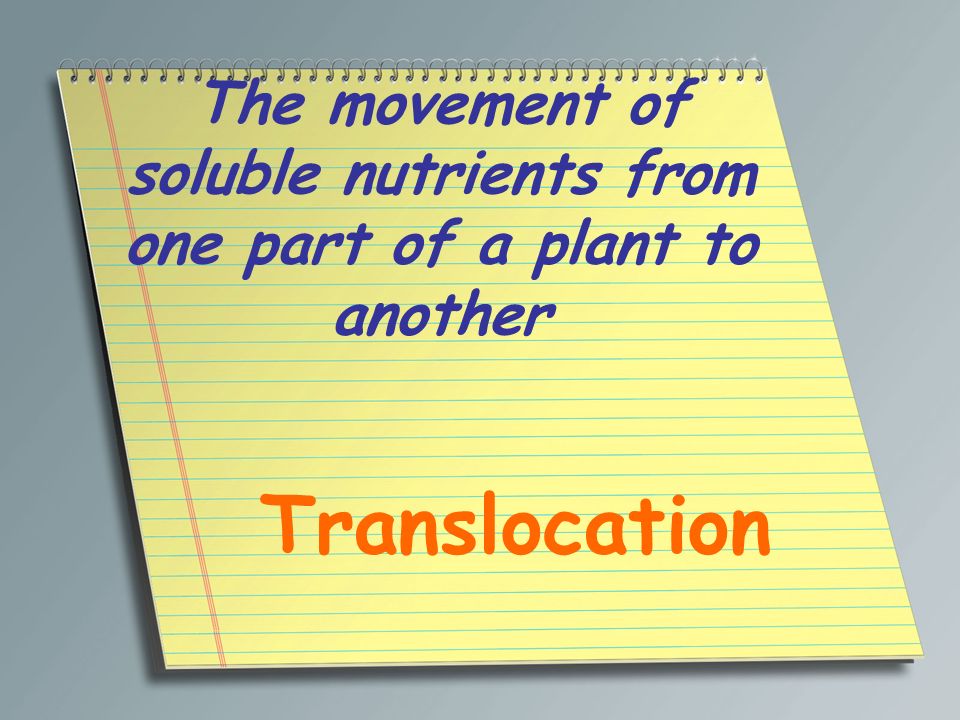 The movement of soluble nutrients from one part of a plant to another