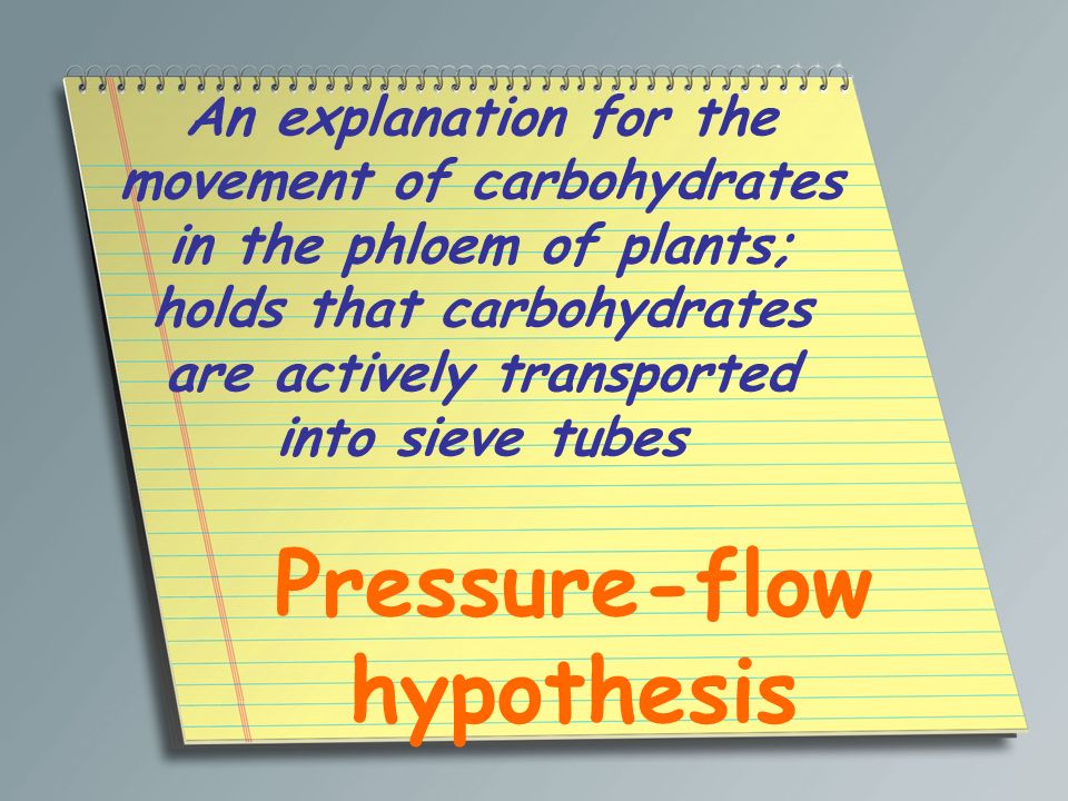 Pressure-flow hypothesis