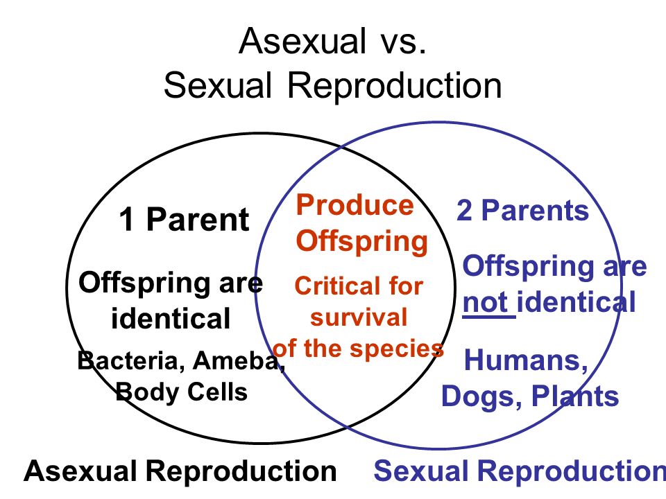 Difference between vegetative reproduction and asexual reproduction