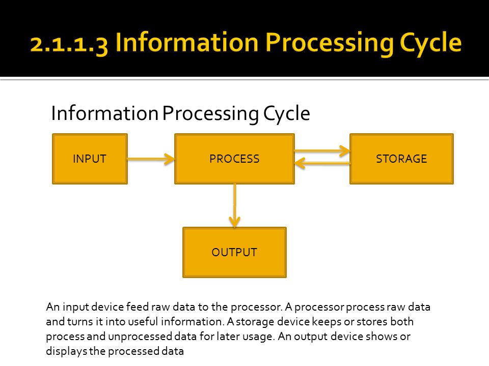 Computer process information. Information processing. Information processes. Information and information processes. Processing объекты.