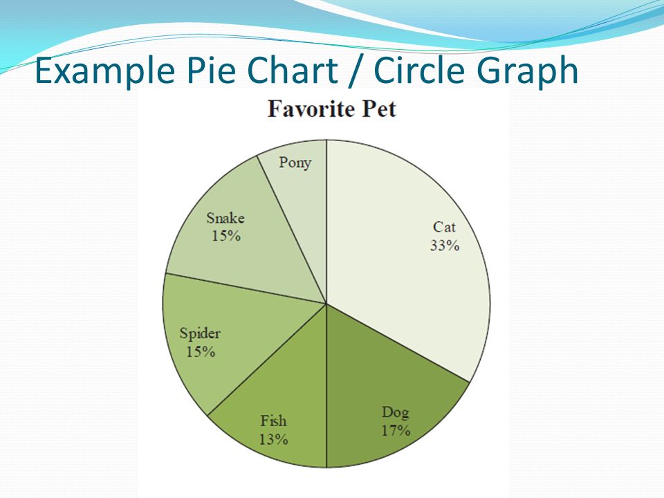 Example Pie Chart / Circle Graph