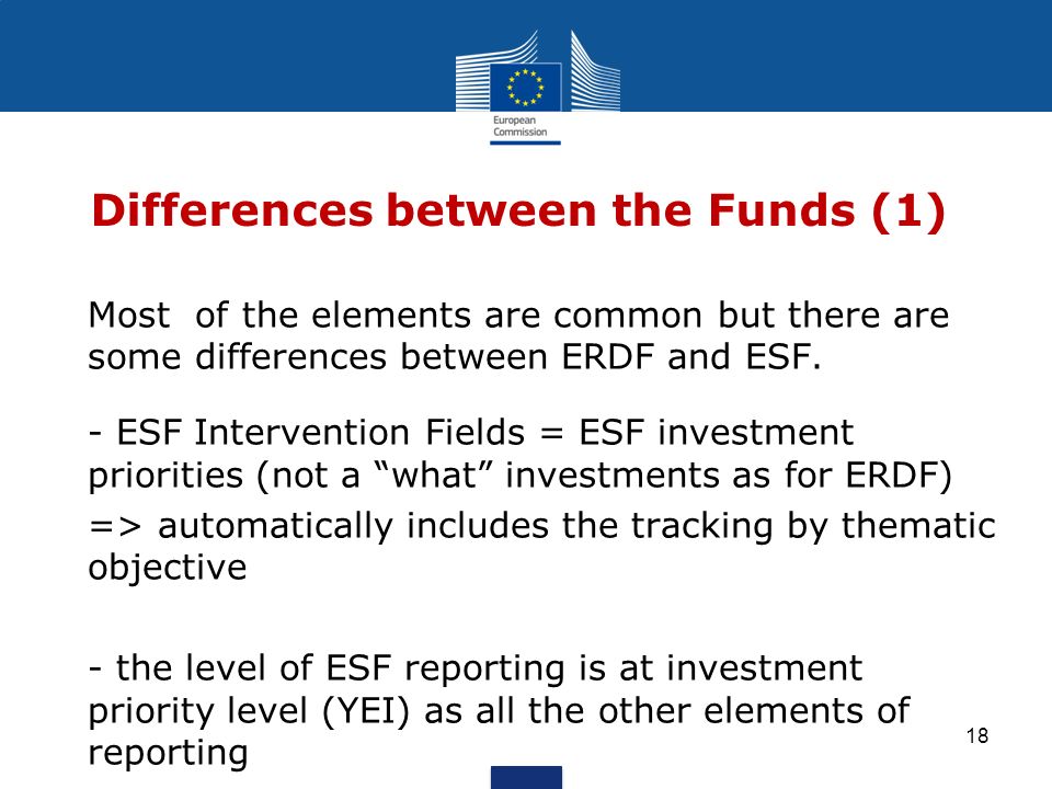Differences between the Funds (1)