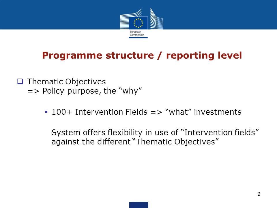 Programme structure / reporting level