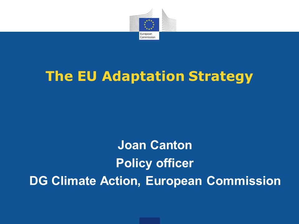 The EU Adaptation Strategy