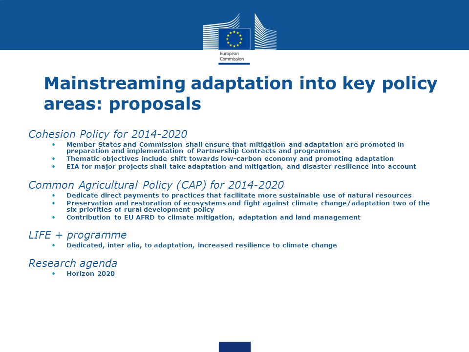 Mainstreaming adaptation into key policy areas: proposals