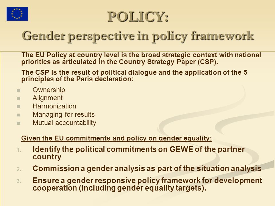 POLICY: Gender perspective in policy framework