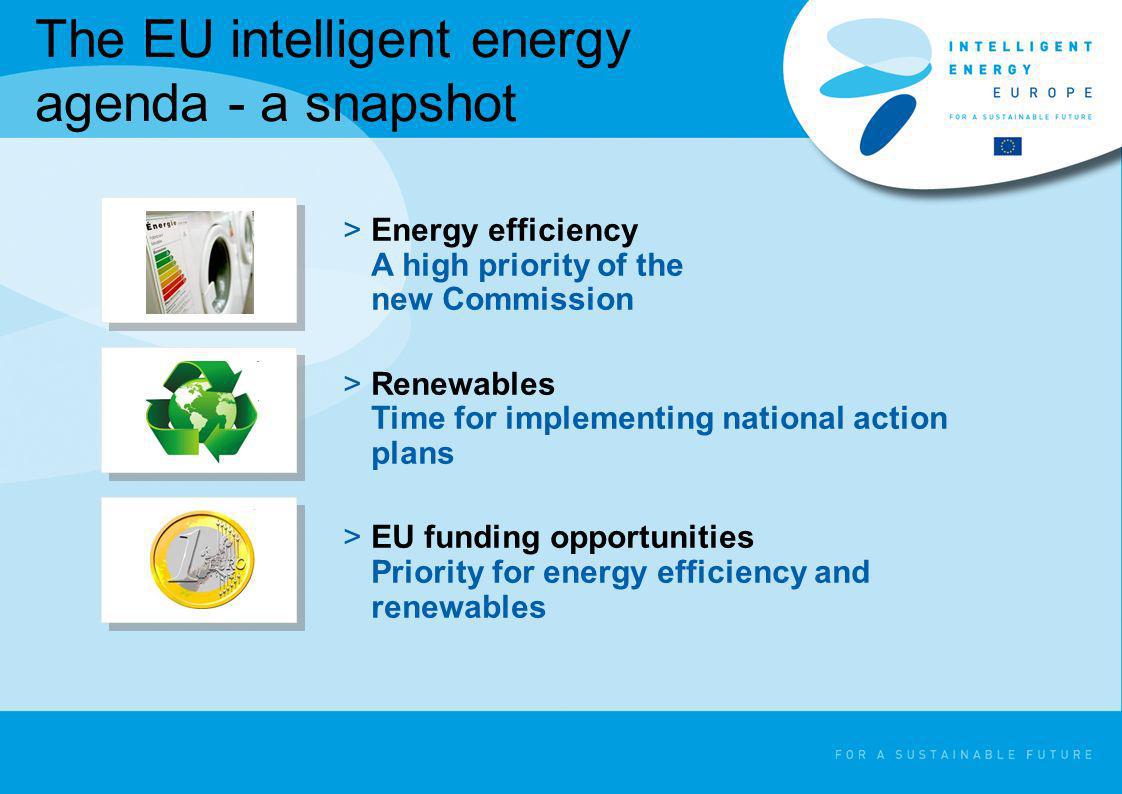 The EU intelligent energy agenda - a snapshot